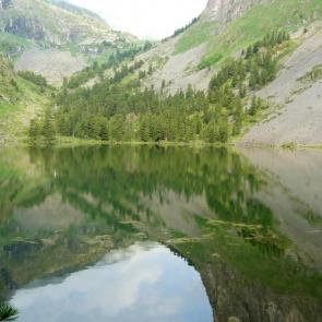 ����: ����� ������