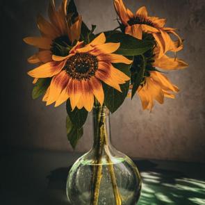 ���� ��������: 