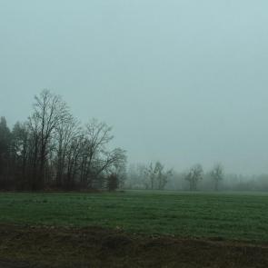 ���� ��������: 