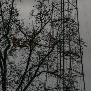 ���� ��������: 