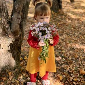 �������������� ������� ��������