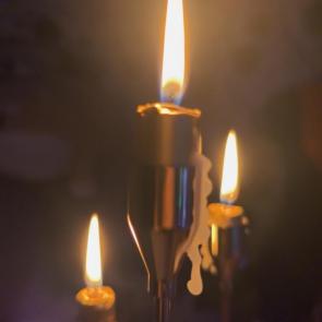 ����: �����