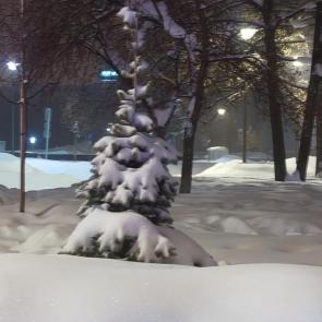 ����: �������� ���������