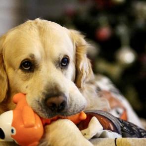 ����: � ����