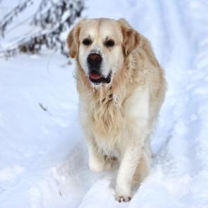 ����: �� �����