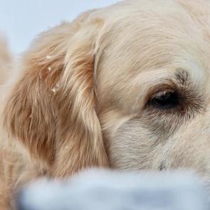 ����: � ������ 