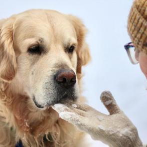 ����: � ���������, �� ������?