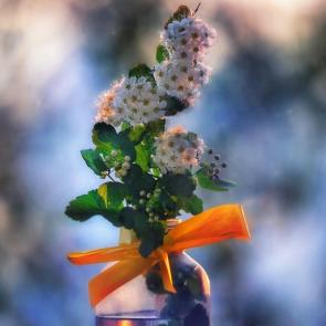 ����: �������� ���������. 