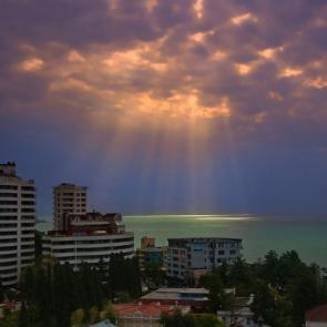 ����: ����. 