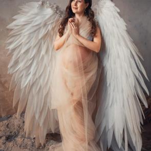 ����: �����