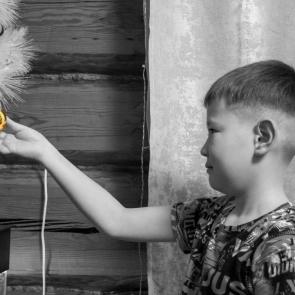 ׸���-����� ���������� �����