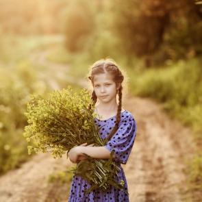 ����: ������ � ������