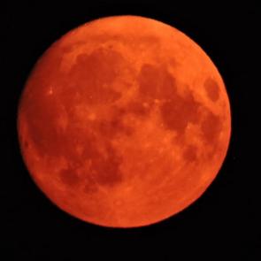 ����: ������� ����