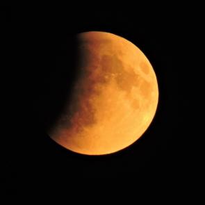 ���� ��������: �������� ����