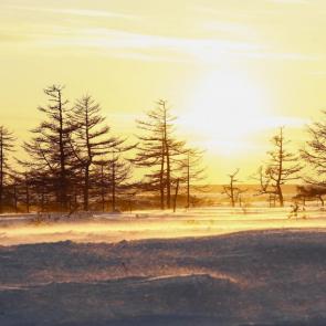 ����: ������ �� ������