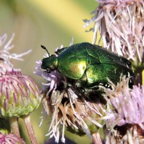 ����: ��������� ����������