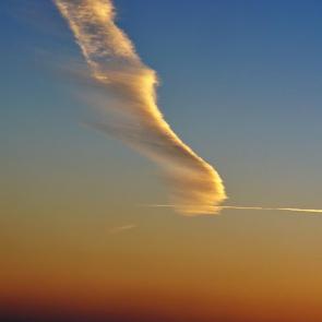 ����: ���� ��������