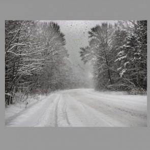 ����: ���� 