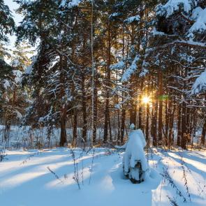 ����: ������ �������