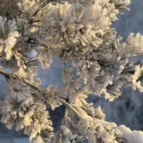 ����: �������� ������