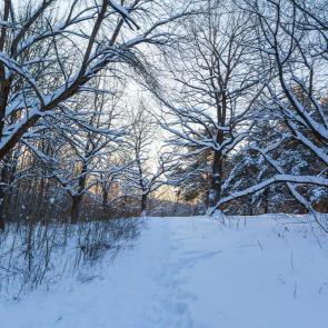 ����: ������ ������������