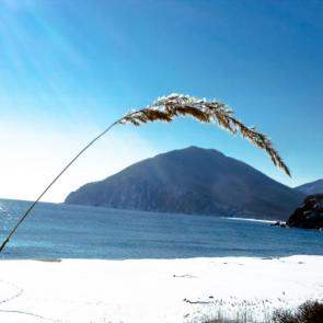 ����: ����� 