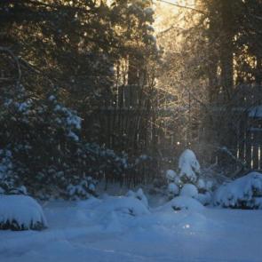 ����: ����� �����