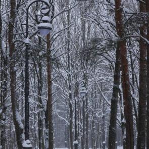 ����: � �����