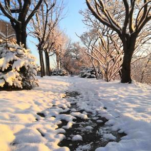 ����: ���������� 