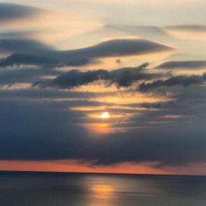 ����: ����