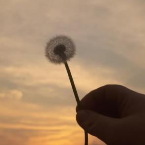 ����: �������� � �������