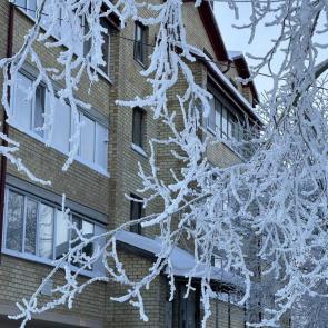 ���������� �� ���� ����