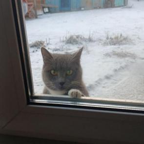 ����: ������ 