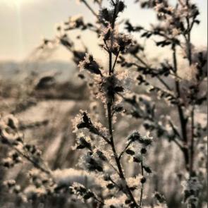 ����: �������� 