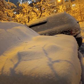 ����: ���������� �������