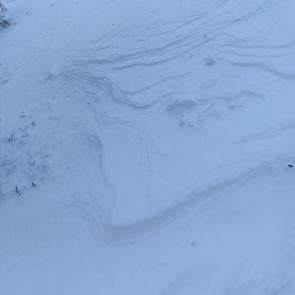 ����: ������� ������