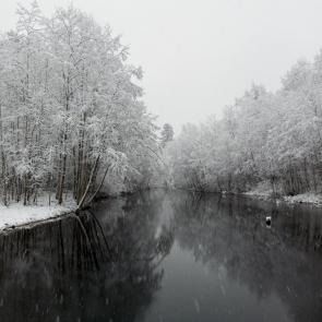 ����: ������ ������ 