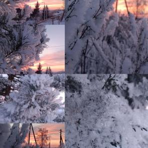 ����: ������� ���� 