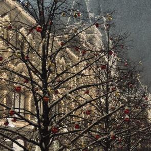 ����: ��������