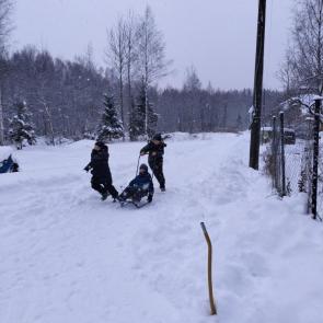 ����: ������ ���� 