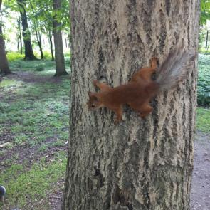 ����: ����������� ������� � �����