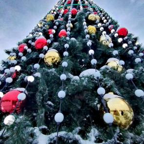 ����: �������� 