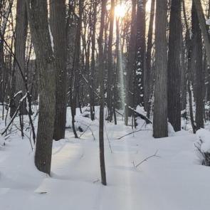 �������� ����������