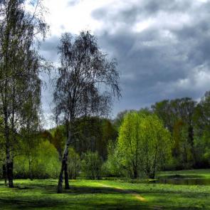 ��������� ����