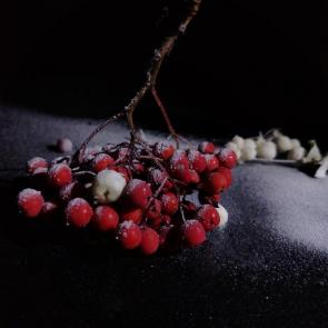 �������������