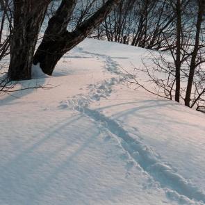 ����: ����� ���������