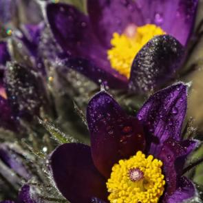 ����: � ������ �������� ����