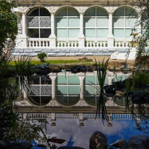 ����: ��� ����