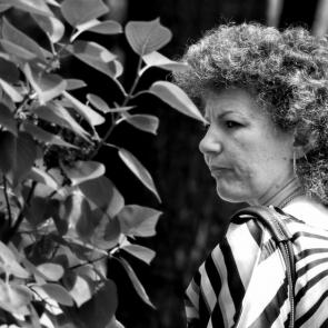 ���� � �������