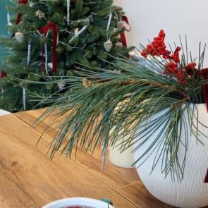 ����: ������ ���